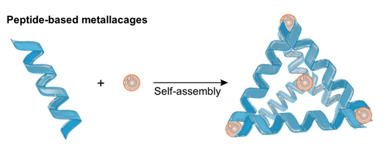 Metallacage–material hybrids